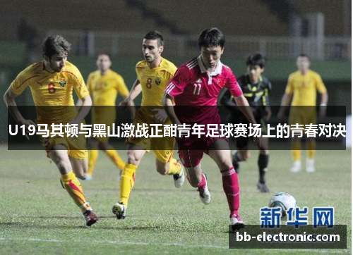 U19马其顿与黑山激战正酣青年足球赛场上的青春对决